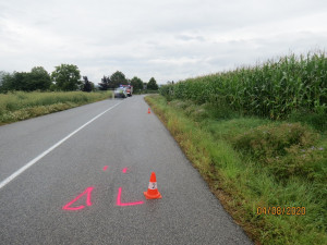 FOTO: Srnka překvapila nepřipravenou řidičku. Strhla volant a skončila na střeše v poli