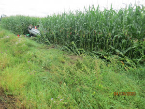 FOTO: Srnka překvapila nepřipravenou řidičku. Strhla volant a skončila na střeše v poli