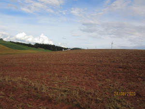 Větroň, který přistál v oraništi