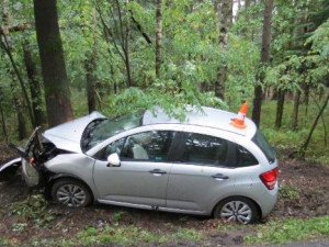 Rychlou jízdu na mokru ukončil až strom vedle silnice. Řidič je v nemocnici