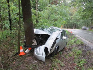 Rychlou jízdu na mokru ukončil až strom vedle silnice. Řidič je v nemocnici