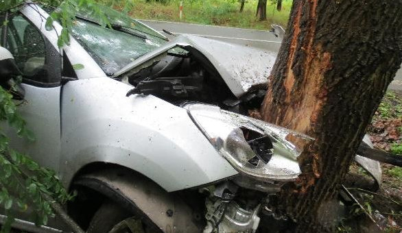 Rychlou jízdu na mokru ukončil až strom vedle silnice. Řidič je v nemocnici