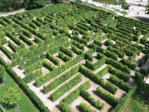 Kam vyrazit? Do Mirakula bez omezení