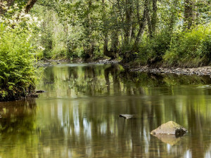 Lesy České republiky vybudovaly na Trutnovsku nádrž na zadržování vody