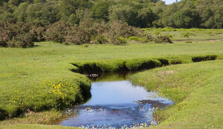 Rovné potoky v Orlických horách se musí vlnit. Lesy České republiky jim vrací původní tvar