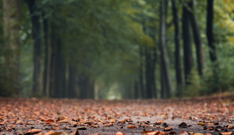 POČASÍ NA SOBOTU: Zataženo s deštěm