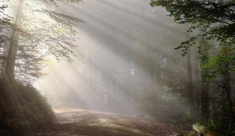 POČASÍ NA NEDĚLI: Oblačná obloha, odpoledne přeháňky