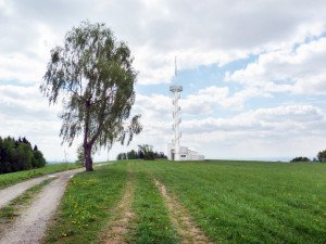 vizualizace rozhledny na vrchu Šibeník