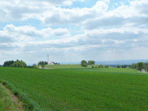 vizualizace rozhledny na vrchu Šibeník