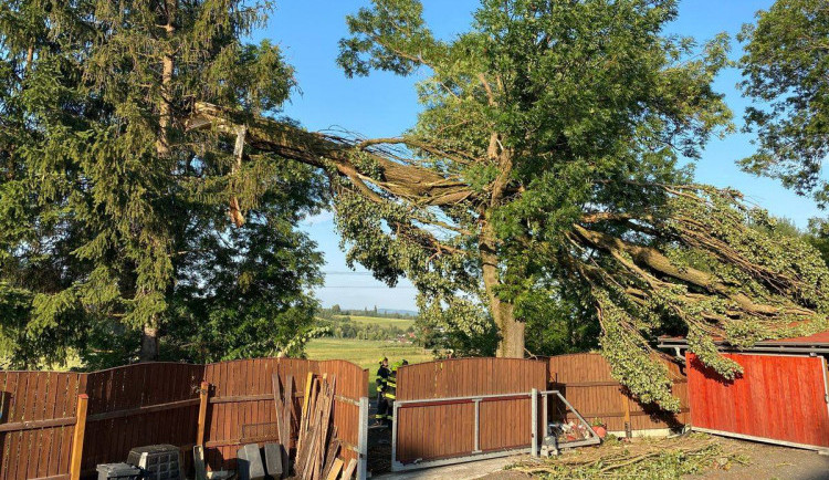 Meteorologové vydali varování před silným větrem. Platí pro celý kraj, nejhorší bude situace na Trutnovsku