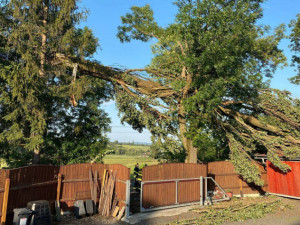 Meteorologové vydali varování před silným větrem. Platí pro celý kraj, nejhorší bude situace na Trutnovsku