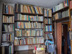 Knihovna profesora Wolfa