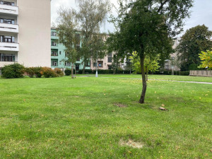 Radnice chce obnovit a oživit Sady architekta Lisky. Práce mají začít příští rok