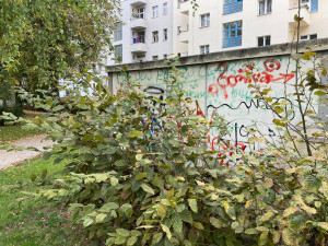 Radnice chce obnovit a oživit Sady architekta Lisky. Práce mají začít příští rok