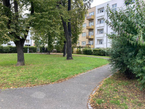 Radnice chce obnovit a oživit Sady architekta Lisky. Práce mají začít příští rok