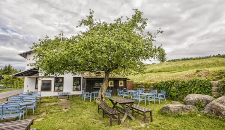 Vítězná jabloň u Lidmanů