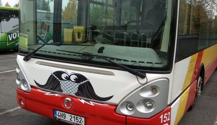 V Hradci Králové opět začnou jezdit autobusy s knírkem. I letos se město zapojuje do akce Movember