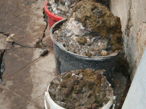 Policie zabavila majitelce sedm desítek psů. Zvířata žila v otřesných podmínkách