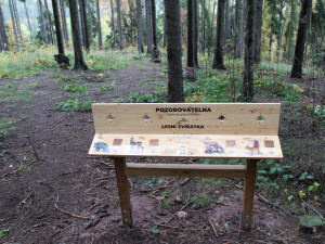 Radnice v Hořicích rozšířila naučnou stezku pro děti. Nyní vede až ke koupališti Dachova