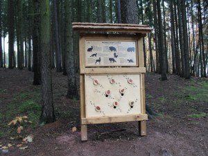 Radnice v Hořicích rozšířila naučnou stezku pro děti. Nyní vede až ke koupališti Dachova