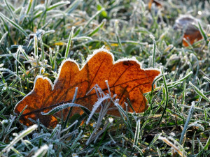 POČASÍ NA SOBOTU: Na první pohled pohodové počasí pokazí teploty