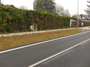 Vysazená zeleň v Krkonošské ulici