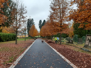 Trutnov opravil část městského hřbitova. Modernizace stála víc než 3,5 milionu korun