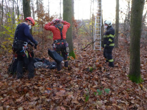 Vyplašený kocour vylezl na 18 metrů vysoký strom. Dolu ho dostal speciálně vycvičený hasič