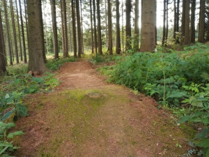 Singletrack Zdobnice