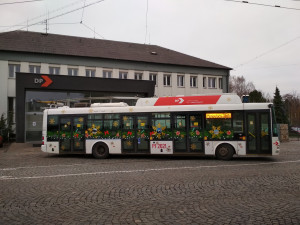 Vánoční elektrobus v Hradci Králové vyjede v sobotu. Trolejbus pak v neděli