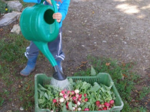 Vykašlali jsme se na práci v Praze a založili si farmu, říkají Susovy. Splnili si tak celoživotní sen