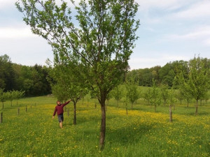 Vykašlali jsme se na práci v Praze a založili si farmu, říkají Susovy. Splnili si tak celoživotní sen