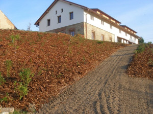 Vykašlali jsme se na práci v Praze a založili si farmu, říkají Susovy. Splnili si tak celoživotní sen