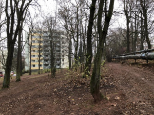 Radnice v Trutnově zrevitalizuje lesopark v Šestidomí. Během prací bude přístup do něj omezený