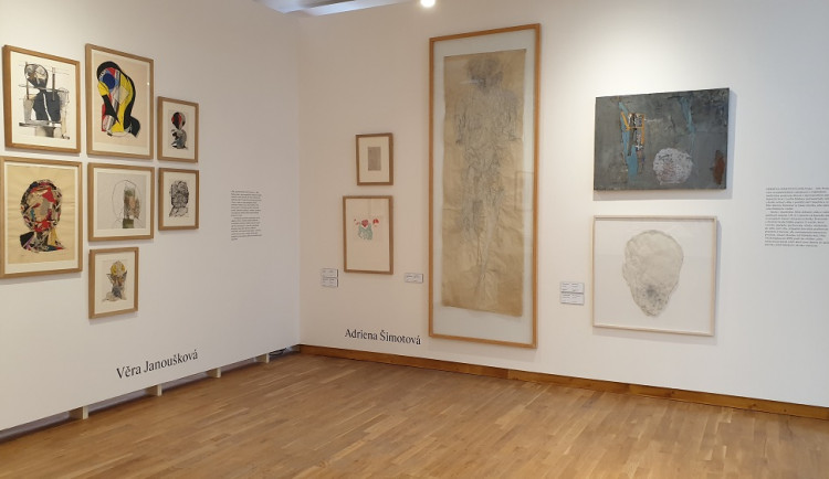 Minulé století - dvacet osobností, Věra Janoušková, Adriena Šimotová