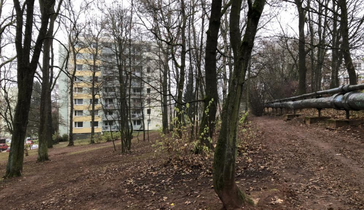 Radnice v Trutnově zrevitalizuje lesopark v Šestidomí. Během prací bude přístup do něj omezený