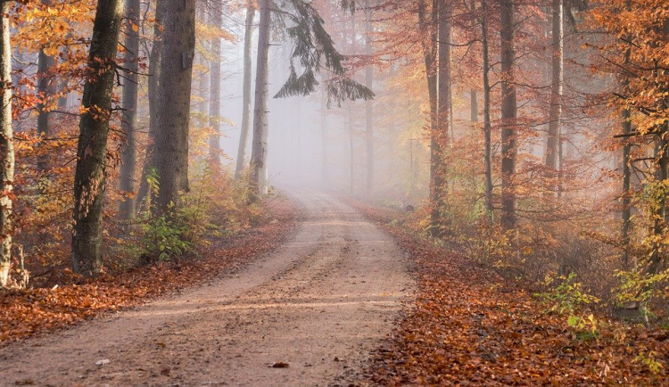 POČASÍ NA NEDĚLI: Až deset stupňů nad nulou