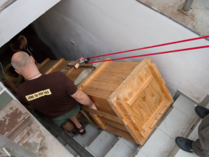 Převoz samice vzácného krokodýla štítnatého