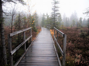 POČASÍ NA NEDĚLI: Třetí adventní neděle bude podzimní