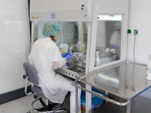 Fakultní nemocnice Hradec Králové má novou transfuzní budovu. Stála 140 milionů korun