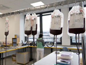 Fakultní nemocnice Hradec Králové má novou transfuzní budovu. Stála 140 milionů korun