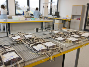 Fakultní nemocnice Hradec Králové má novou transfuzní budovu. Stála 140 milionů korun