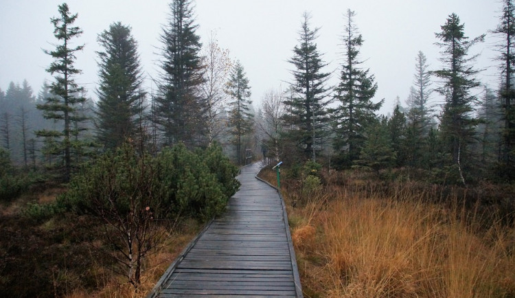 POČASÍ NA NEDĚLI: Na horách slunce, v nižších polohách mrholení