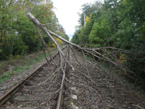 Část východních Čech zasáhne dnes a zítra silný vítr. Mnohde bude mít i sílu vichřice