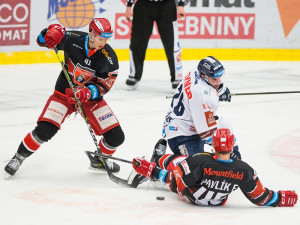 Včerejší utkání hradeckého Mountfieldu s libereckými Bílými Tygry