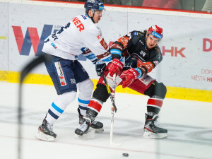 Včerejší utkání hradeckého Mountfieldu s libereckými Bílými Tygry.com