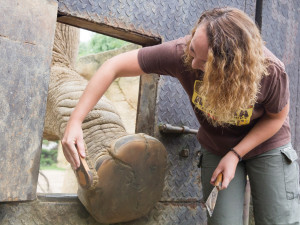 Safari Park během pandemie přišel o 30 milionů korun. I tak se letos narodilo 630 mláďat