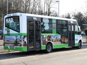 FOTO: Dvůr Králové nad Labem má nový autobus MHD. Cestující si ho všimnou na první pohled