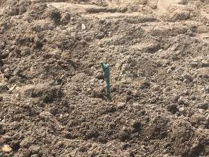 Zámek v Doudlebách nad Orlicí předběhl dobu. Zdejší vinice ještě neplodí, přesto už ve sklepení zkoušejí zrání vína v sudech