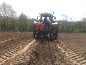 Zámek v Doudlebách nad Orlicí předběhl dobu. Zdejší vinice ještě neplodí, přesto už ve sklepení zkoušejí zrání vína v sudech